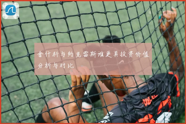 舍什科与约克雷斯谁更具投资价值分析与对比