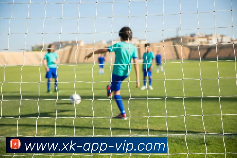 星空体育APP 封面图